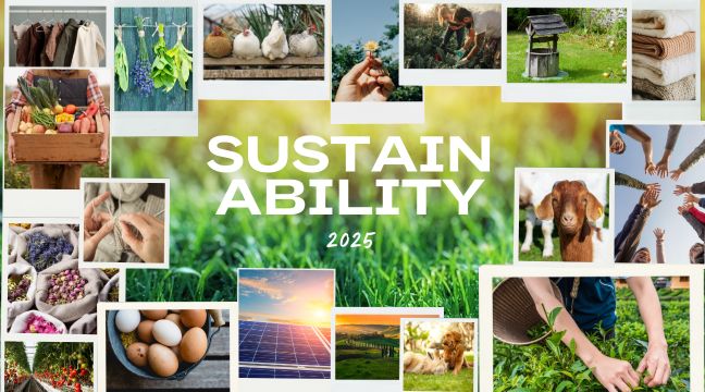 vision board for the yearly theme of sustainability